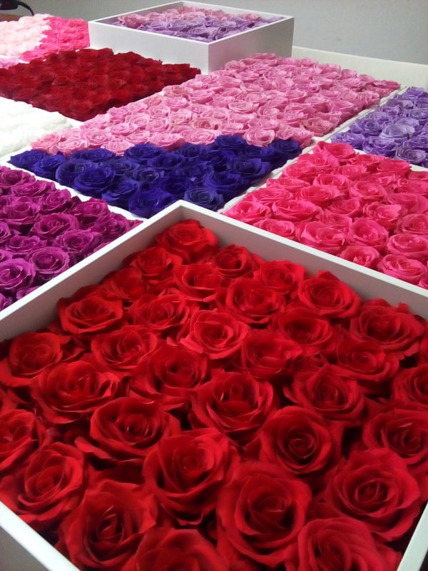Rose Belle piękne dekoracje z kwiatów stabilizowanych.