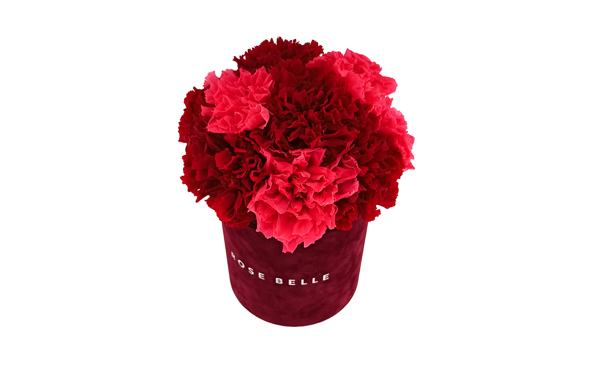 Rose Belle Box S bordowy DeLuxe z czerwonymi goździkami