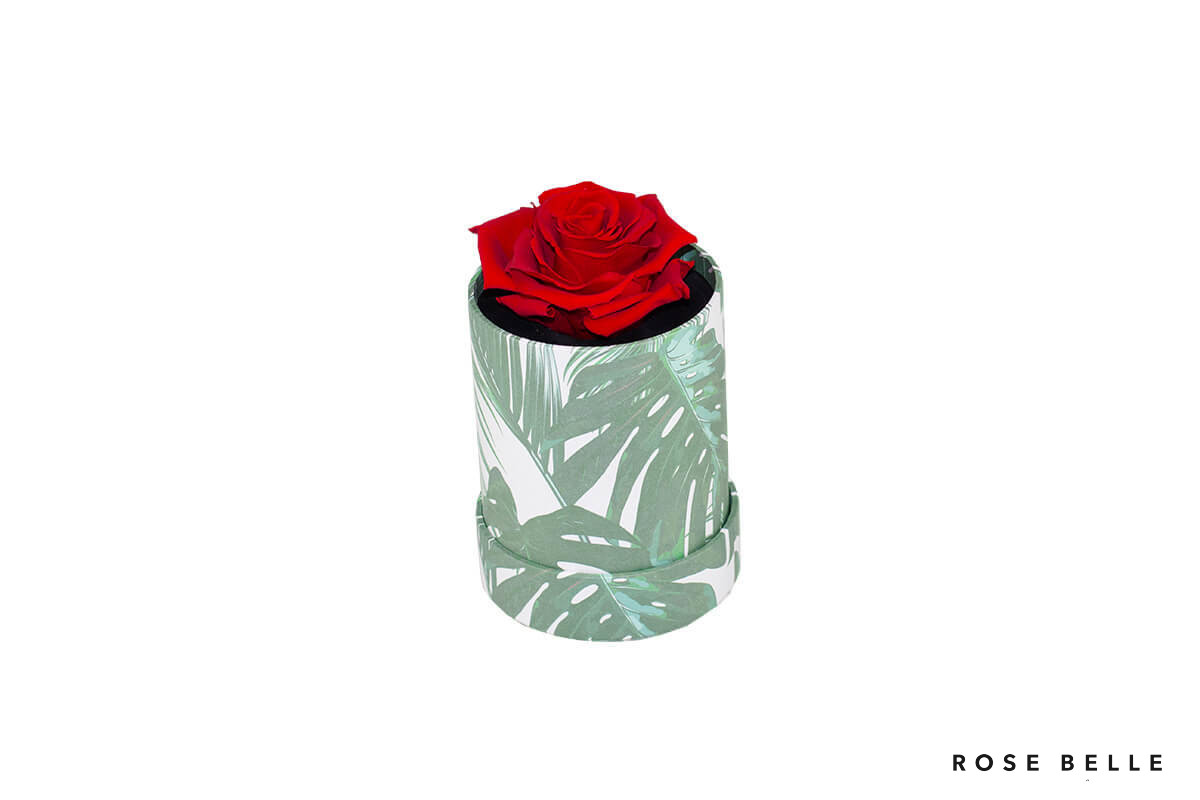 Mini Box S Nature